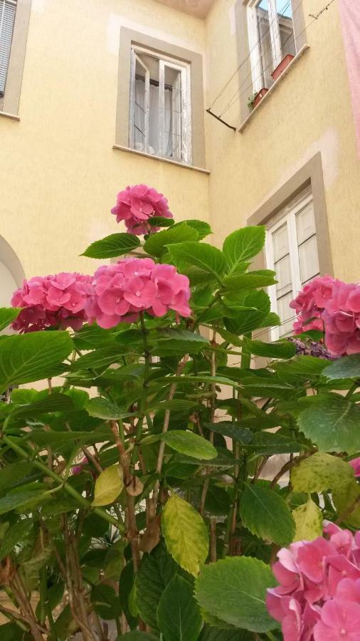 Casa Girasole Villa San Giorgio a Cremano Exterior photo